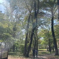 Photo taken at Higashimurayama Chuo Park by nyamn on 4/14/2024