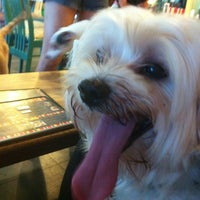 Photo taken at Doggiestyle Cafe by Fiona L. on 3/6/2013