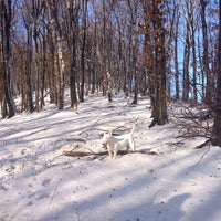 Dolny Cerveny Kriz Trail In Bratislava