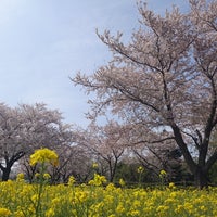 Photo taken at 尾根緑道 by くろこま on 4/1/2018