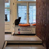 Photo taken at Cat Cafe by Alinie G. on 10/6/2023