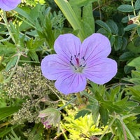 Photo taken at Koshimizu Native Flower Garden by etipp on 8/21/2023