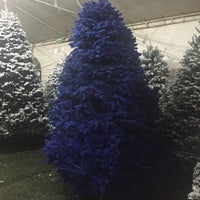 Photo taken at Christmas Trees by Ericka M. on 12/4/2015