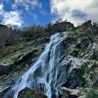 1/14/2024 tarihinde Carl F.ziyaretçi tarafından Powerscourt Waterfall'de çekilen fotoğraf