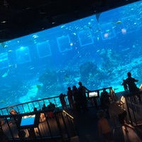 Photo taken at S.E.A. Aquarium by ShiYue on 6/2/2015