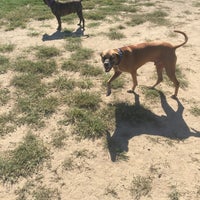 9/4/2016にMichael O.がSwift Run Dog Parkで撮った写真