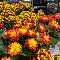 Photo taken at Mariano&amp;#39;s Fresh Market by tankboy on 10/7/2023