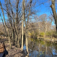Photo taken at La Bagh Woods (Cook County Forest Preserve) by tankboy on 11/19/2023