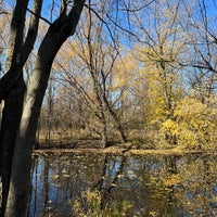 Photo taken at La Bagh Woods (Cook County Forest Preserve) by tankboy on 11/11/2023