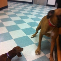 banfield pet hospital ikea blvd