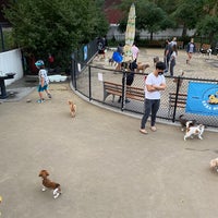Photo taken at Lou Lodati Park - Dog Run by Daisy on 9/14/2020