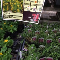 Dcmダイキ 宝塚店 2 Ziyaretci