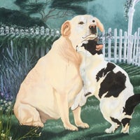 veterinary specialists & emergency service