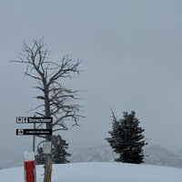 3/14/2024にJeanMatがPowder Mountainで撮った写真
