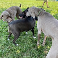 Photo taken at Southwest City Dog Park by Mary H. on 7/4/2021