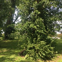 Photo taken at Willmore Park by Mary H. on 5/18/2019