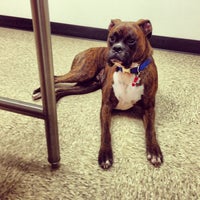 banfield pet hospital ikea blvd