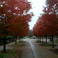 St. Louis Community College-Meramec - Community College in Kirkwood
