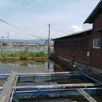 金魚のふる里 やまと錦魚園 郡山金魚資料館 大和郡山市 奈良県 金魚のふる里 やまと錦魚園 郡山金魚資料館 大和郡山市 奈良県