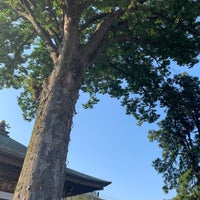 Photo taken at 総持寺のケヤキ by kazumasa k. on 9/21/2020
