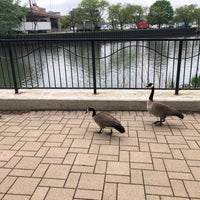 Photo taken at A. Montgomery Ward Park by Andrew W. on 5/3/2021