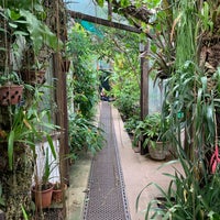 Photo taken at Chelsea Physic Garden by kat l. on 6/10/2019