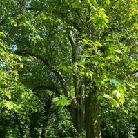 Photo taken at Rusovský park by Laci D. on 5/28/2023