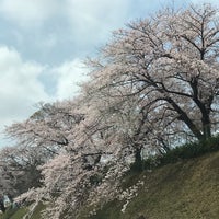 蘇羽鷹神社 Shrine In 松戸市