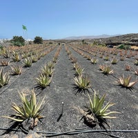 Foto tomada en Aloe Plus Lanzarote  por Patricie D. el 7/16/2021