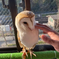 Photo taken at Owl Village by Stephanie P. on 12/31/2019