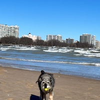 Photo taken at Montrose Dog Beach by Hanny on 3/10/2024