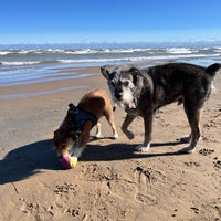 Photo taken at Montrose Dog Beach by Hanny on 3/10/2024