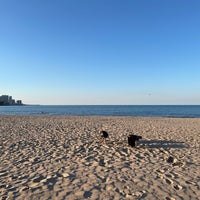 Photo taken at Montrose Dog Beach by Hanny on 3/28/2024