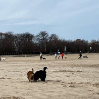 Photo taken at Montrose Dog Beach by Hanny on 3/17/2024