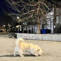 Photo taken at Logan Square Dog Park by Hanny on 2/10/2024