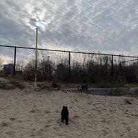 Photo taken at Montrose Dog Beach by Hanny on 2/25/2024