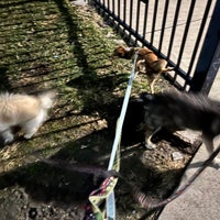 Photo taken at Logan Square Dog Park by Hanny on 2/10/2024