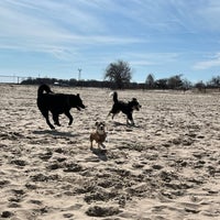 Photo taken at Montrose Dog Beach by Hanny on 3/31/2024