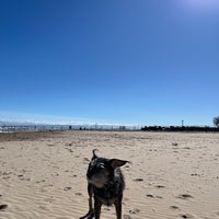 Photo taken at Montrose Dog Beach by Hanny on 3/10/2024