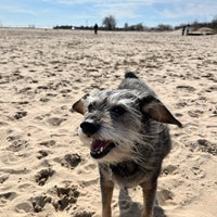 Photo taken at Montrose Dog Beach by Hanny on 3/31/2024