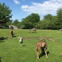 Photo taken at The Plains At The Zoo by byfernny on 5/30/2017