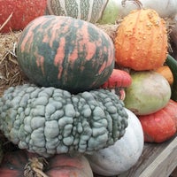 Photo taken at Rufe Snow Farmers Market by Bryan D. on 10/7/2012