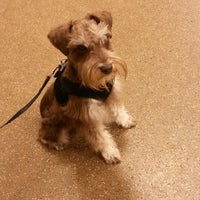 petsmart 101st memorial