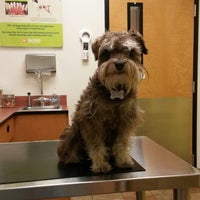 petsmart 101st memorial