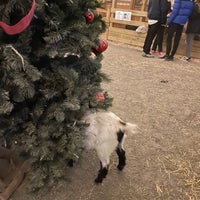 Foto tirada no(a) Leesburg Animal Park por Donia em 12/21/2021