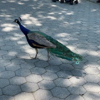 Photo taken at Prospect Park Zoo by Donia on 7/19/2022
