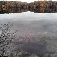 cranberry lake preserve