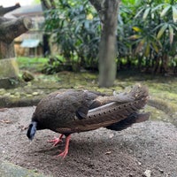 Photo taken at Taman Burung by Prita on 4/20/2023