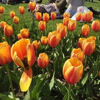 Photo taken at Boston Public Garden by Adí on 4/30/2016