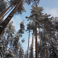 Photo taken at Karjala Park by Slava T. on 2/4/2018